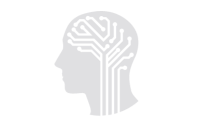 head with brain circuits